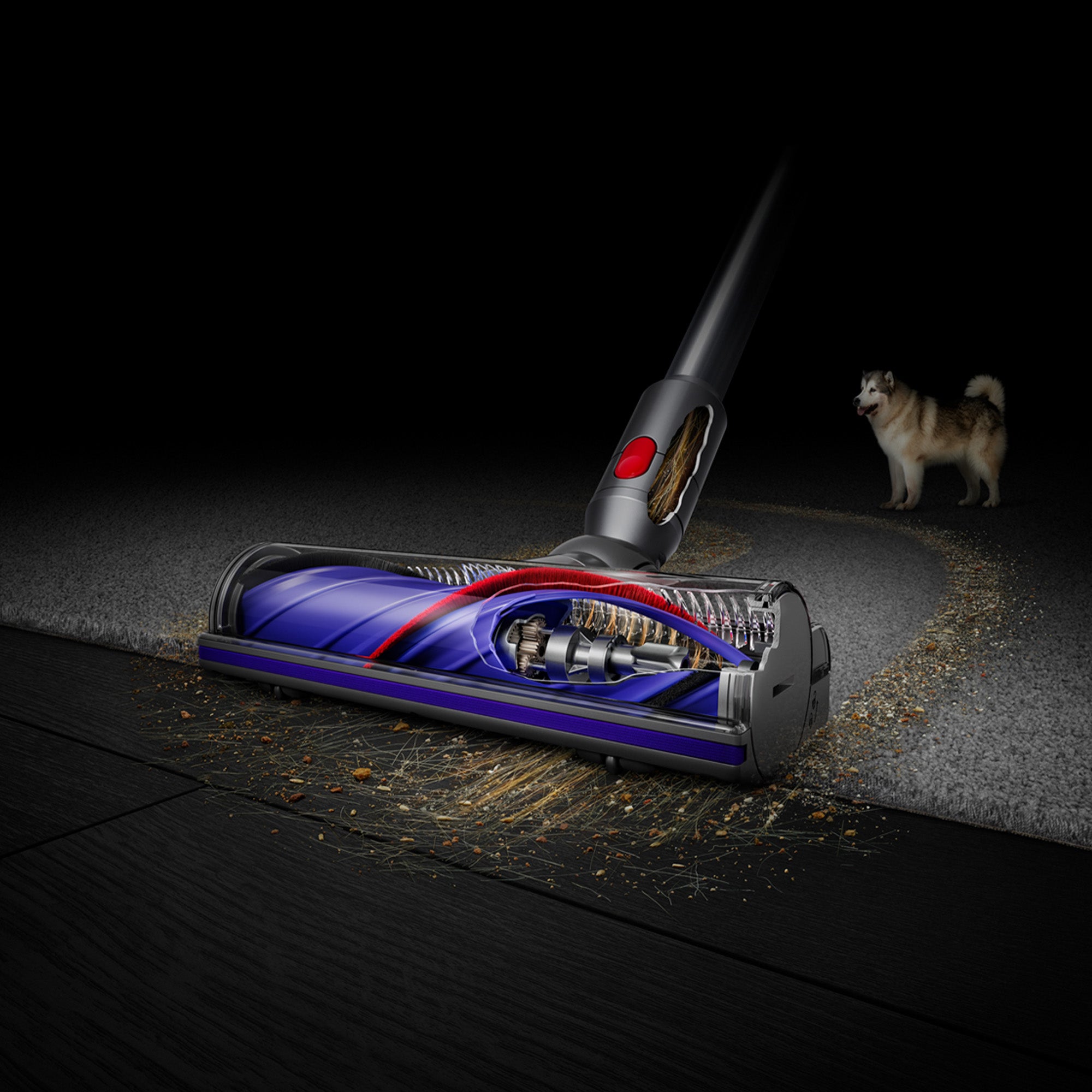 Dyson V8 Absolute Cordless hotsell Vaccum