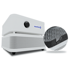 Austin Air 'It' Personal HEPA Air Purifier - VOC Carbon Wrap - BestVacuum.com