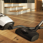 Miele Blizzard CX1 Cat & Dog - BestVacuum.com