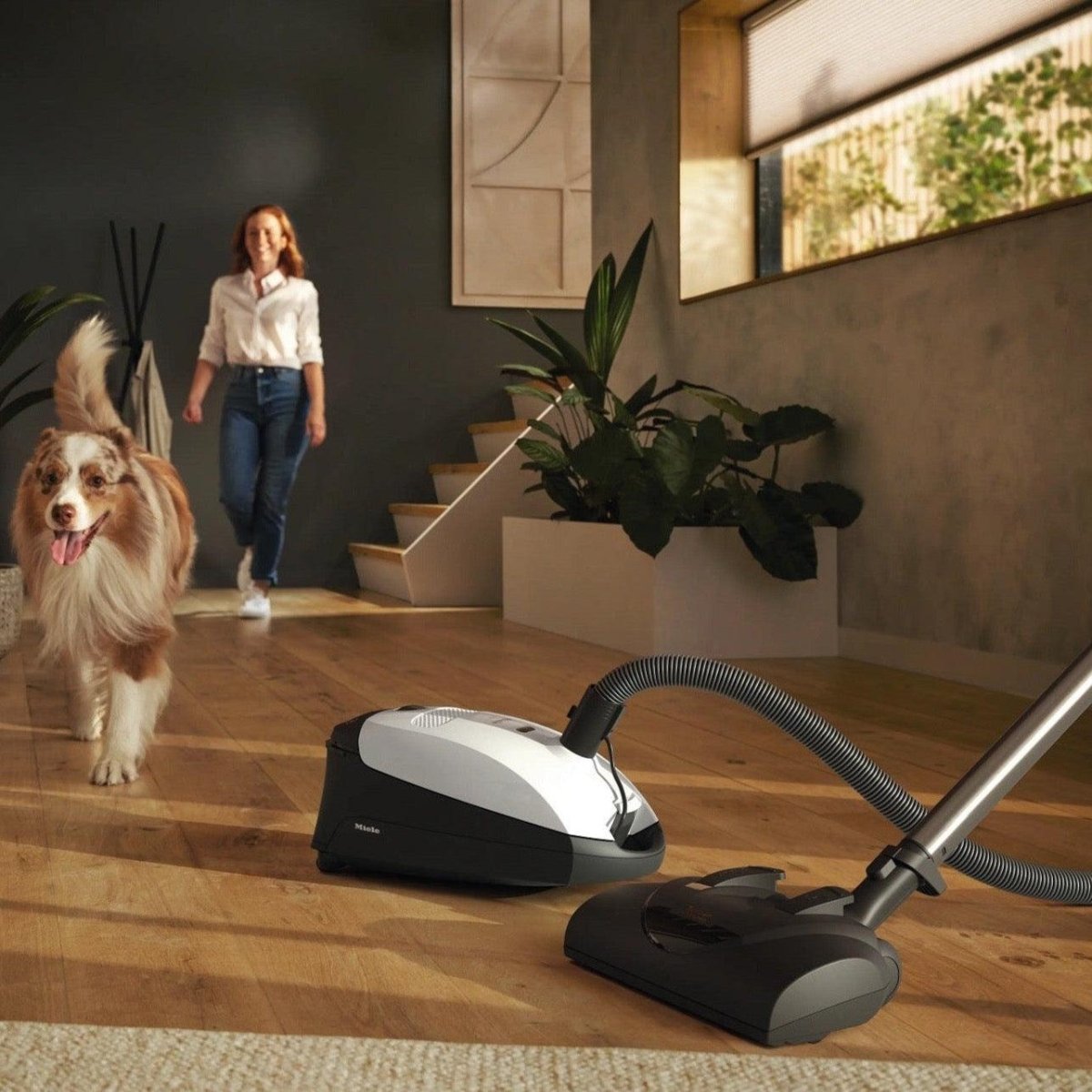 Miele Classic C1 Cat & Dog - Canister Vacuum