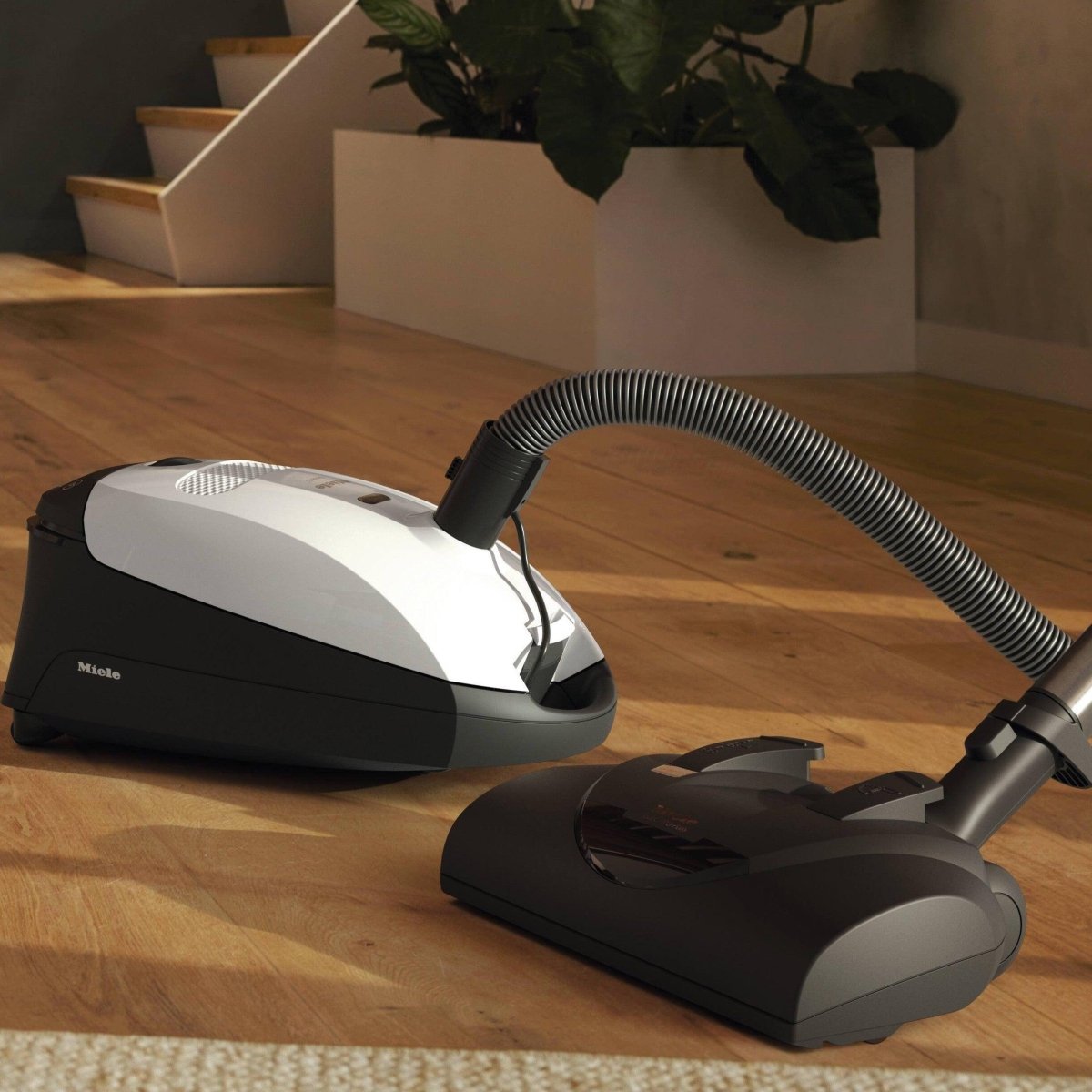 Open Box - Miele Classic C1 Cat & Dog - Canister Vacuum